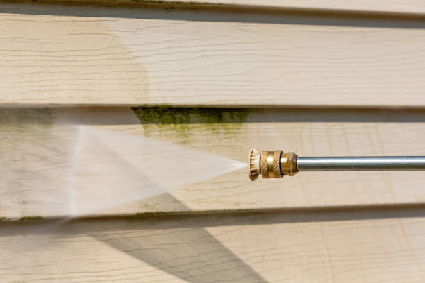 Best Exterior Home Cleaning  in Gladewater, TX