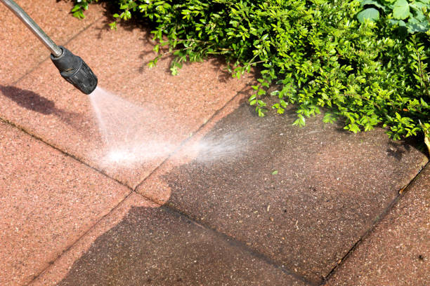 Best Pressure Washing Driveway  in Gladewater, TX